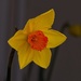 Spring is Here 