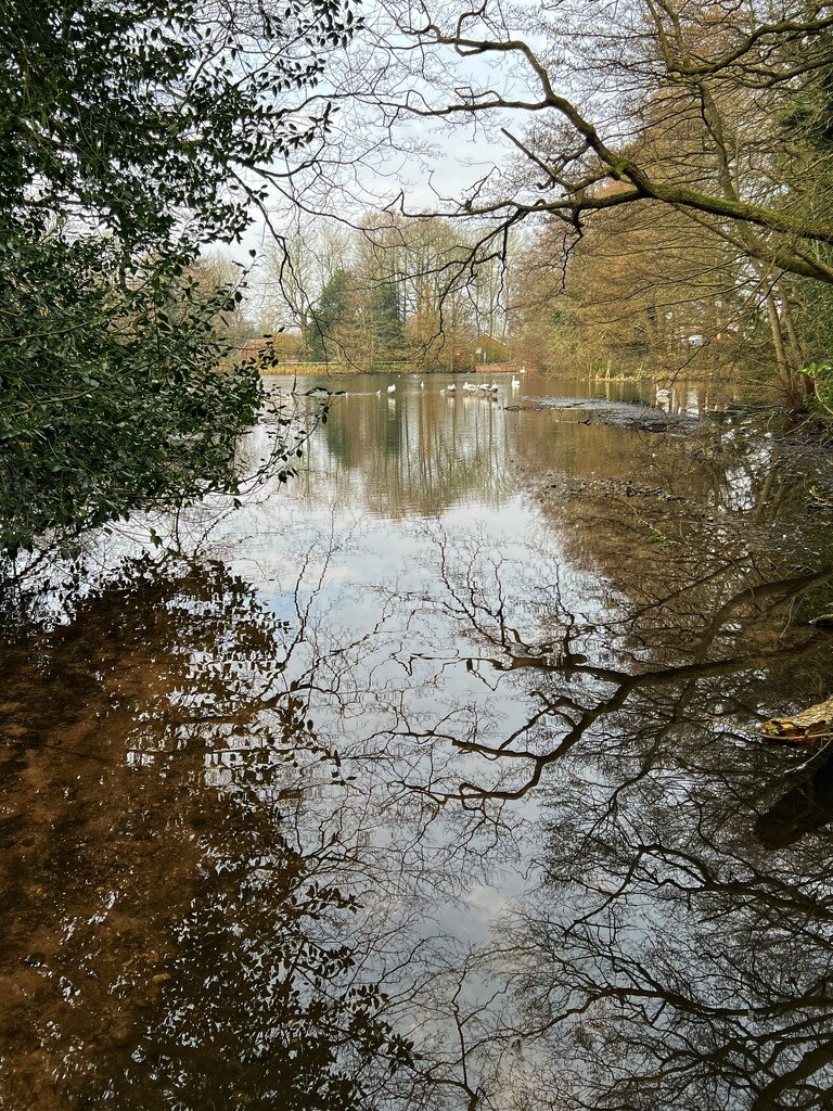Local nature reserve by tinley23