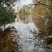 Local nature reserve