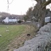this little brown lamb was boinging around