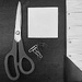 Theme- March2025 Flat Lay