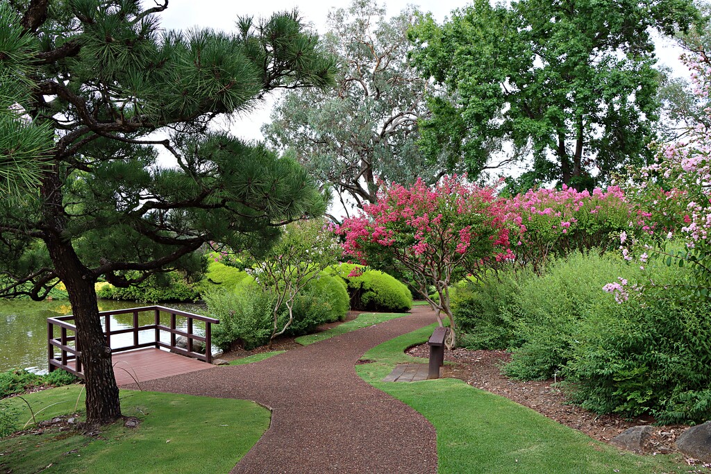 Along the garden path by leggzy