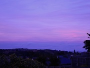 10th Mar 2025 - Evening colours