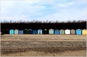 11th Mar 2025 - Frinton