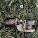 Electrical Thingy