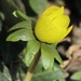 An Invitation to Spring