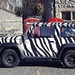 On Safari
