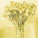 Daffs