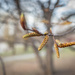 Ready steady go! by haskar