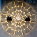 WIndow Display 