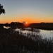 Marsh sunset, Folly Beach SC