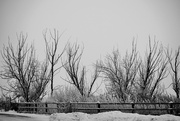 12th Feb 2025 - Winter 2025