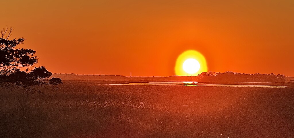 Marsh sunset by congaree