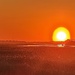 Marsh sunset