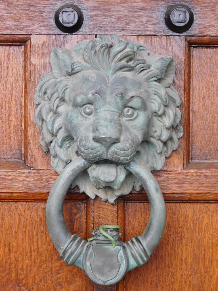 lion knocker by anniesue