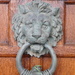 lion knocker by anniesue