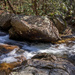 Mill Creek