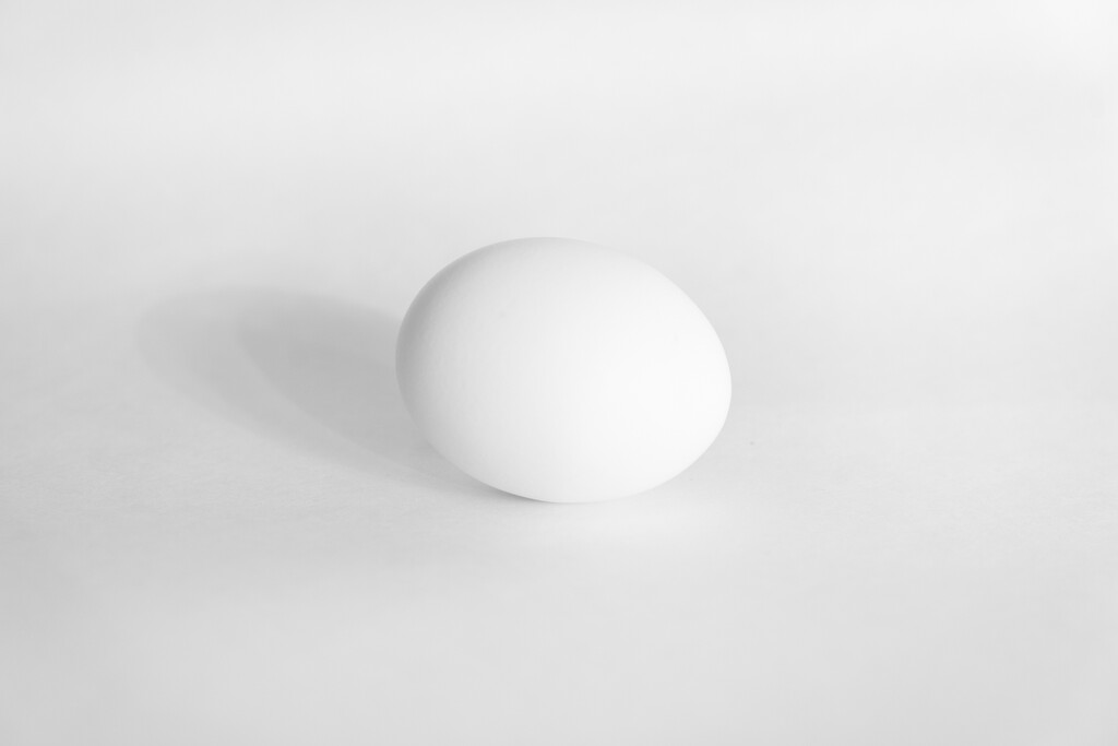 White on White by cdcook48