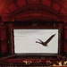 Excited For Curtain Up  by 30pics4jackiesdiamond