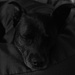 Sleepy girl