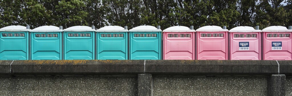 Port a Loo x 9 by yaorenliu