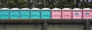13th Mar 2025 - Port a Loo x 9