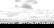 13th Mar 2025 - Essex