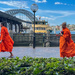 Two Buddhist monks, two phones, one smile—ancient meets modern life.