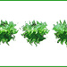 Green 2