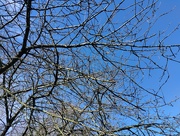 12th Mar 2025 - IMG_20250312_122942