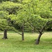 Green 2