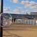 Bubbles 