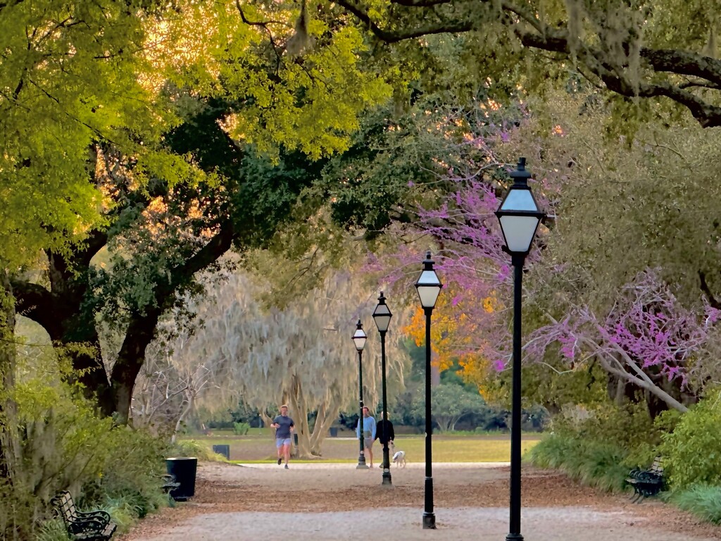 Spring at Hampton Park by congaree