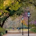 Spring at Hampton Park