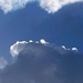 I keep looking for a silver lining
