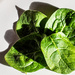 Spinach