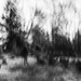 Walking among the dead