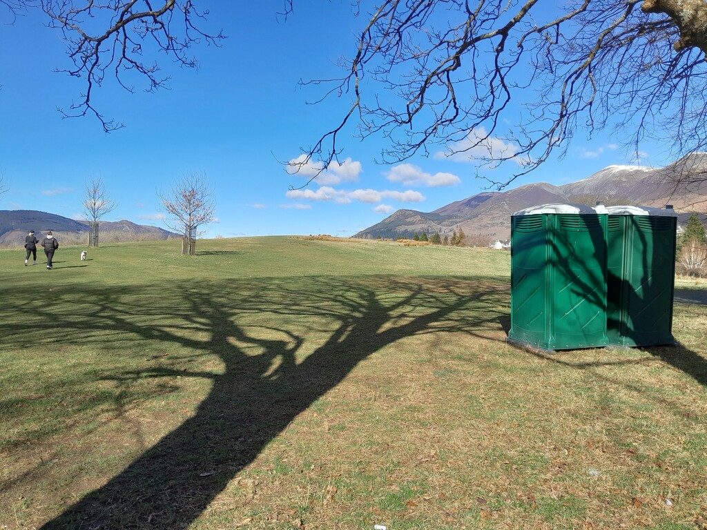 was taking it for the shadow by anniesue