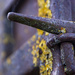 rusty