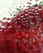 12th Mar 2025 - Strawberry 