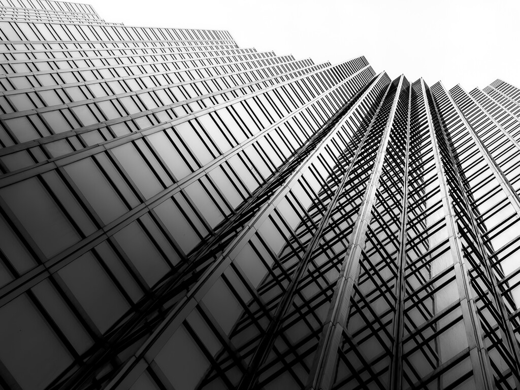 looking up  by northy