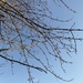 Today’s photo 