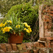 Afton Villa Gardens