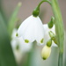 Blooming well~~~~~