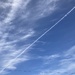 Blue Sky
