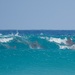Surfing The Waves P3132165