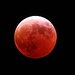 Blood Moon Eclipse 3/14/2025 1:34 AM by lynnz