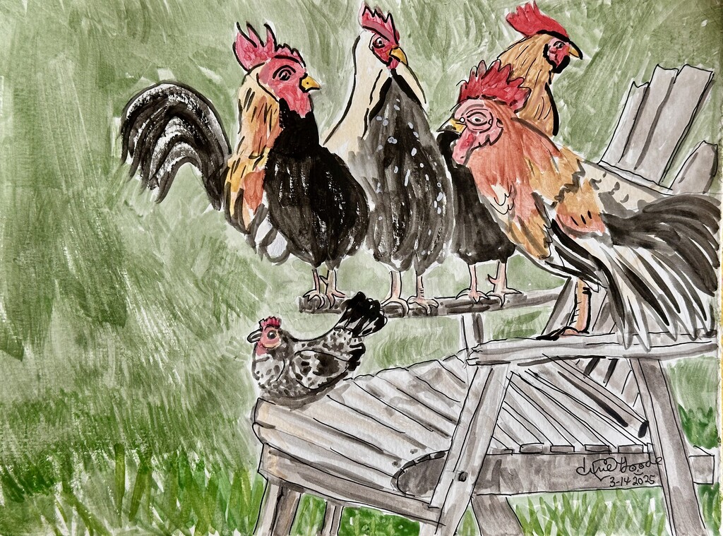 Cock a doodle do by pandorasecho