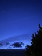 14th Mar 2025 - Blue hour