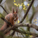 Hello by haskar